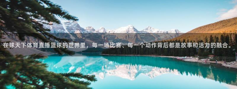 833足球直播平台：在球天下体育直播篮球的世界里，每一场比赛、每一个动作背后都是故事和活力的融合。