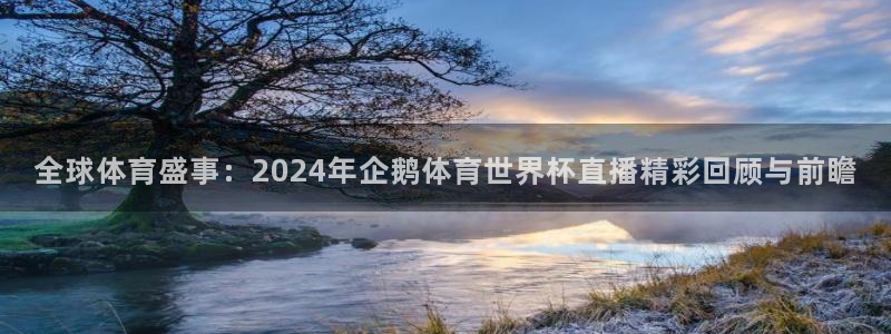833体育在线直播：全球体育盛事：2024年企鹅体育世界杯直播精彩回顾与前瞻