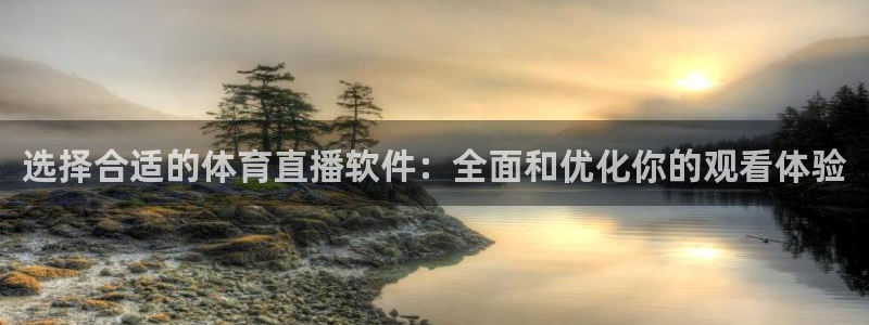 833看球直播在线观看：选择合适的体育直播软件：全面和优化你的观看体验