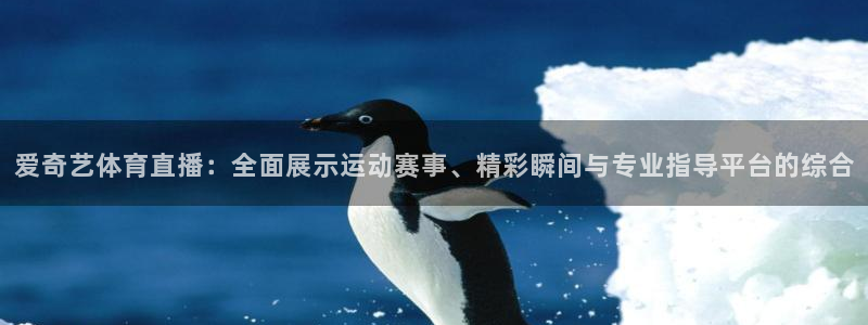 833足球直播平台：爱奇艺体育直播：全面展示运动赛事、精彩瞬间与专业指导平台的综合