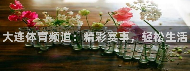 833免费看球直播：大连体育频道：精彩赛事，轻松生活