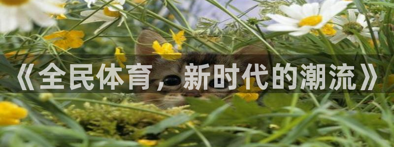 833直播足球比赛在线观看：《全民体育，新时代的潮流》