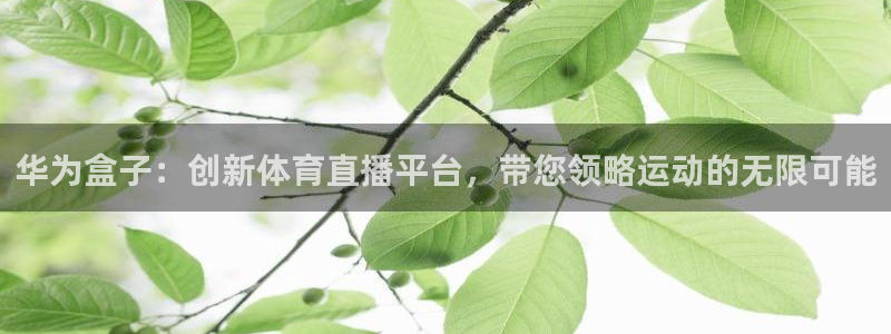 833nba直播：华为盒子：创新体育直播平台，带您领略运动的无限可能