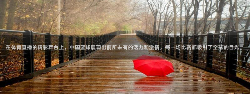 833足球直播免费完整