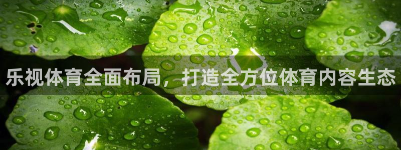 833直播比赛在线观看：乐视体育全面布局，打造全方位体育内容生态