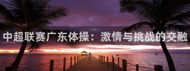 833体育在线直播在线看
