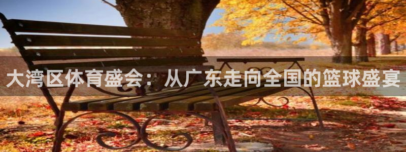 足球833直播免费观看直播：大湾区体育盛会：从广东走向全国的篮球盛宴