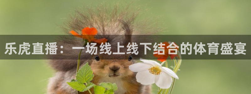 833篮球直播在线直播